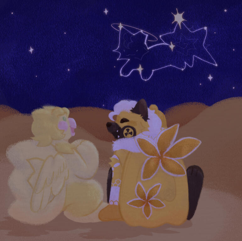 Stargazing, Gift (2024)